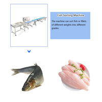 Filet de bar Machine de pêche Saumon Thon Truite Peau Éplucheur Tête Cutter Coupe Sardine Poisson Ligne de traitement