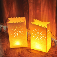 Sac de lanterne en papier ignifuge luminaria pour mariage, décoration, hôtel, festival, offre spéciale