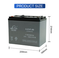 Batterie au gel sans entretien 12V 80Ah LEOCH 6-EVF-80 pour transpalette, gerbeur, autolaveuse, cycle profond 259x168x214mm