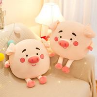 Oreiller en peluche rond rose personnalisé OEM ODM, coussin en peluche de cochon de dessin animé avec logo personnalisé, jouet en peluche cochon kawaii en gros