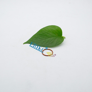 ERIKC FOOVC38002 FKM juntas tóricas con diferentes tamaños FOOV C38 002 o anillo de sellado F OOV C38 002 - Product Image 6