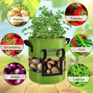 Pots de jardin et jardinières Sacs de culture en géotextile non tissé en vrac 10 gallons Pots de culture en tissu pots de plantes transparents - Product Image 4