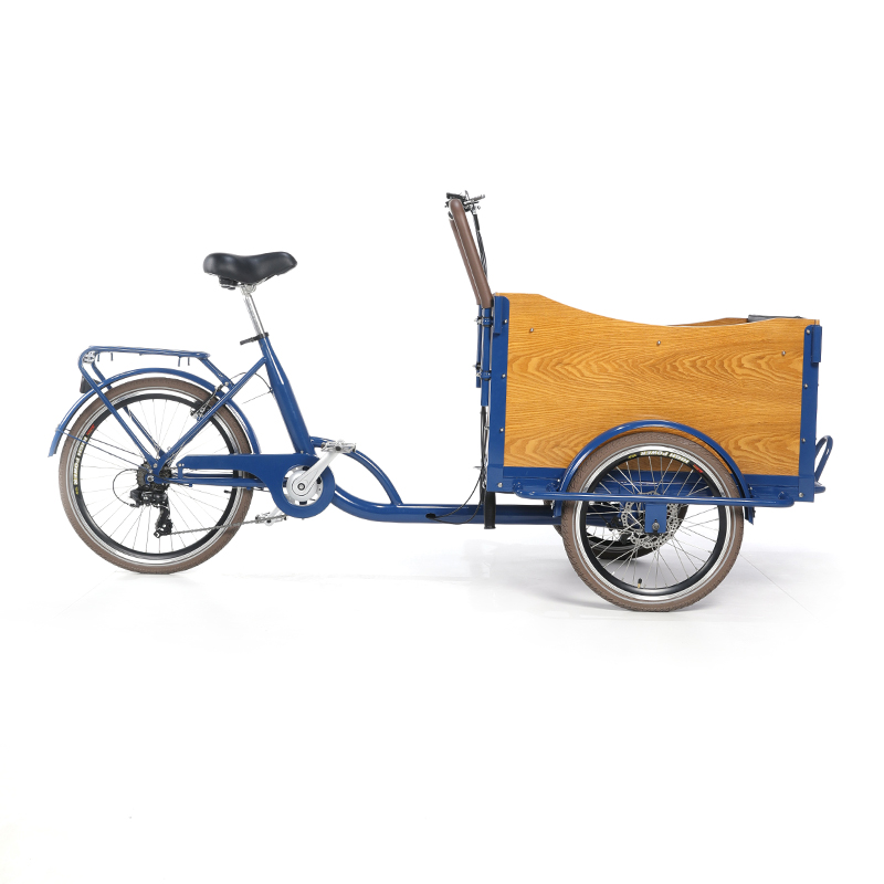 電動三輪車 大人用 カーゴバイク リカンベントトライク 小型