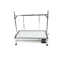 Table de toilettage pour animaux de compagnie Shernbao FT-873 avec fer à repasser électrique, lumière LED, bureau élévateur professionnel, capacité de charge de 120 kg pour salon