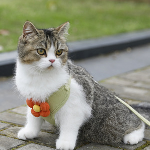 Nova Coleira Peitoral Estilo Colete para Gatos com Estampa Floral, Confortável e Respirável para Gatinhos - Product Image 2