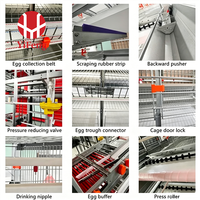 Système de cage d'élevage intensif de type H pour poussins, avec alimentation et abreuvement automatiques, pour fermes avicoles de moyenne et grande taille