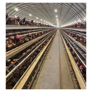 Gabbia per animali di tipo A per galline ovaiole, attrezzatura agricola in vendita calda <span class=keywords><strong>2026</strong></span>, materiale zincato a caldo - Product Image 1