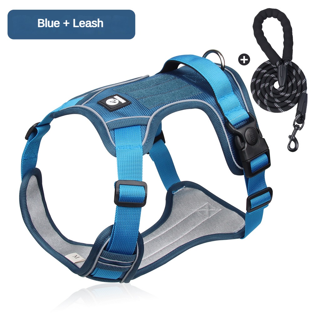 Lake Blue+leash set