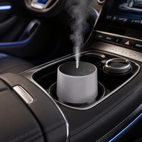 Nébuliseur d'huiles essentielles intelligent avec protection contre l'inclinaison, bouteille interchangeable de 10 ml, diffuseur d'arômes pour voiture et maison