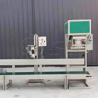 Machine d'emballage de granulés de haute précision pour engrais NPK avec système de pesage automatique, de remplissage et de scellage de sacs