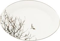Service de table de luxe moderne en porcelaine fine dorée de 60 pièces / Ensemble d'assiettes en céramique écologique pour 12 personnes