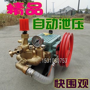 Automatic Pressure Relief Agricultural High-Pressure Motorized Sprayer Three-Cylinder Plunger Pump Flushing Pump Cleaners - Product Image 5