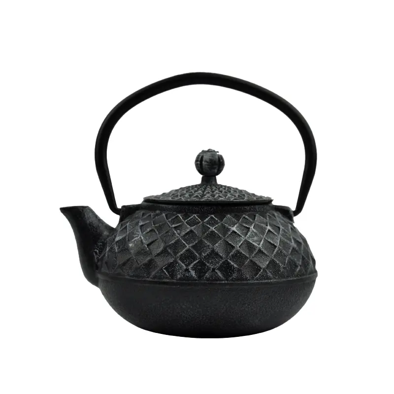 Japanese Cast Iron Teapot with Enameled Interior 0.5L