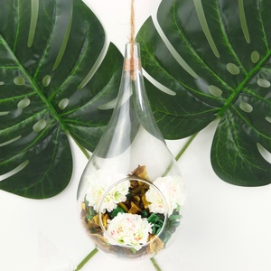 Globe <span class=keywords><strong>en</strong></span> <span class=keywords><strong>verre</strong></span> suspendu transparent <span class=keywords><strong>en</strong></span> forme de larme, terrarium, vase <span class=keywords><strong>à</strong></span> fleurs avec fond plat <span class=keywords><strong>pour</strong></span> plantes succulentes et plantes aériennes - Product Image 6