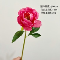 Bunga Buatan, Lukisan Minyak Bunga Peony, Ranunculus, Dekorasi Awal Perlengkapan Furnitur Lembut Seni Bunga Pernikahan