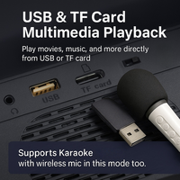 Sistema de Karaoke Portátil de 14 Pulgadas con Pantalla 1366x768, 2 Micrófonos Inalámbricos, DC12V, para Camping, Hogar y TV