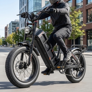 NUEVA Bicicleta Eléctrica de Montaña Juliet, E-bike con Llantas Gruesas de 20 Pulgadas, Fatbike de 250w, Bicicleta Eléctrica Juliet con Suspensión Completa para Mayor Comodidad en el Viaje - Product Image 1