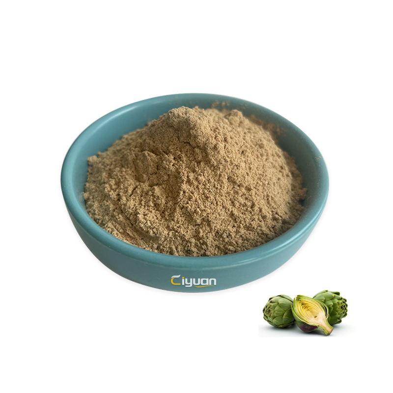 Ciyuan Factory Wholesale High Quality Artichoke