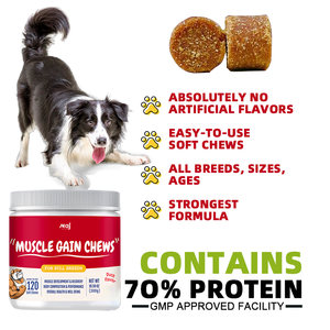 Suplemento de Proteína <span class=keywords><strong>en</strong></span> Tabletas Masticables para Perros, Marca Privada OEM, Favorece el Desarrollo Muscular, Fortalece el Sistema Inmunológico con Vitaminas - Product Image 4