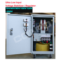 Régulateur de tension automatique AVR à servomoteur à très basse tension d'entrée, stabilisateur de tension d'entrée 70V/80V/90V/100V/120V~250V, sortie 220V/110V