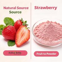 Poudre de Fraise Naturelle Lyophilisée et Séchée par Pulvérisation, Ingrédient en Vrac à Base de Fruits