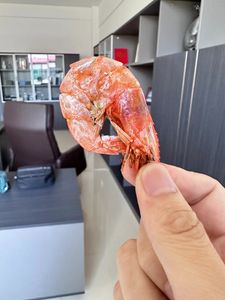 Tunnel industriel Séchage au micro-ondes Stérilisation Insecticide Cuisson Cuisson Dégraissage Équipement d'extraction Machine Fixation du thé - Product Image 6