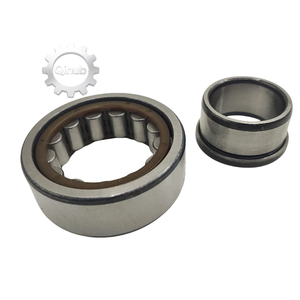 Rodamiento de Caja de Cambios de Alta Calidad, Rodamiento de Transmisión para Automóviles 25*52*18 0295Y0711 0098861130 016734696-0000-02 EA-NJ2205AP6V3 - Product Image 6