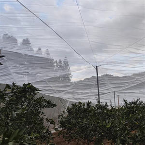 온실 안티 곤충 그물 진딧물 증거 그물 처녀 HDPE + UV 플라스틱 곤충 메쉬 - Product Image 5