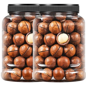 Vente en gros professionnelle 500g noix de <span class=keywords><strong>macadamia</strong></span> sèches crues <span class=keywords><strong>macadamia</strong></span> <span class=keywords><strong>macadamia</strong></span> grillées <span class=keywords><strong>macadamia</strong></span> salée - Product Image 1