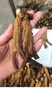 Grosir Ginseng Korea asli impor dalam jumlah besar dengan akar asli yang dipilih dengan hati-hati - Product Image 3