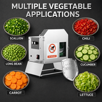 Coupe-légumes multifonctionnel Commercial Electric 200W, tension universelle, en acier inoxydable, trancheuse artisanale, râpe à pommes de terre