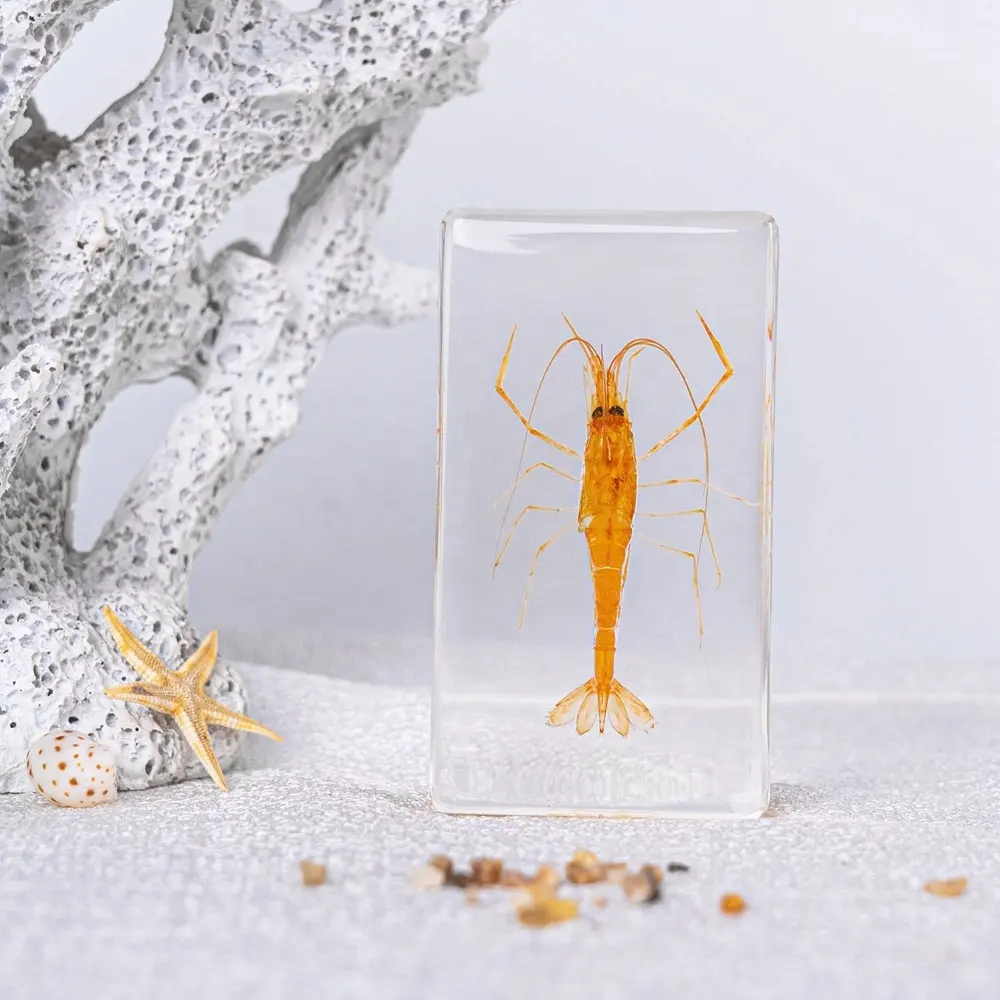 Qianfan neu erfundene Produkte Harz Kunst und Handwerk Geschäfts geschenke Goldfisch Langus tine Weihnachts dekoration & Geschenk MOQ 10 PCS