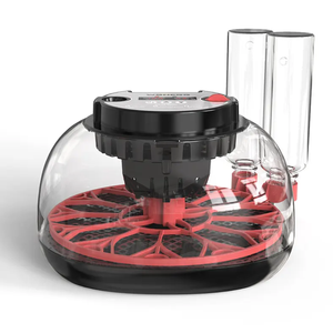 Mini incubateur à <span class=keywords><strong>œufs</strong></span> entièrement <span class=keywords><strong>automatique</strong></span> à économie d'énergie, capacité de <span class=keywords><strong>12</strong></span> <span class=keywords><strong>œufs</strong></span>, meilleure qualité avec contrôle de l'humidité - Product Image 2