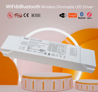 Arus konstan IP20 12W Tuya Wifi Zigbee Smart Led Driver 24-42V 200-300mA