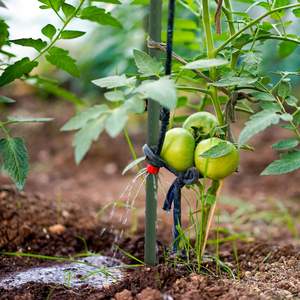 <span class=keywords><strong>Piquets</strong></span> <span class=keywords><strong>de</strong></span> jardin <span class=keywords><strong>en</strong></span> acier recouvert <span class=keywords><strong>de</strong></span> plastique pour soutenir les plantes grimpantes, <span class=keywords><strong>piquets</strong></span> pour <span class=keywords><strong>tomates</strong></span>, fournitures <span class=keywords><strong>de</strong></span> jardinage - Product Image 6