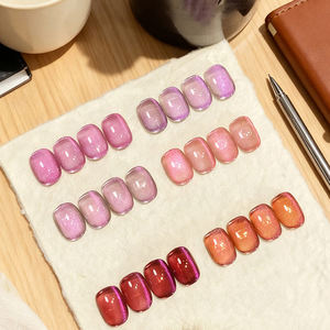 AILANUO Esmalte de Uñas en Gel UV de 6 Colores Efecto Ojo de Gato - No Tóxico, Vegano, Ecológico, Acabado Brillante de Larga Duración, ODM/OEM, Marca Privada - Product Image 2