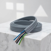 TVVBPG PVC-isoliertes, stahlverstärktes Flachseil für Aufzüge, Kupfer-Hochzugkabel mit Anti-EMI-Schutz für Aufzugssteuerung