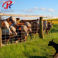 Clôture de champ en treillis galvanisé à chaud, écologique et résistante à la décomposition, pour l'élevage de bovins, moutons, chèvres, chevaux et cerfs