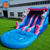 Toboggan aquatique gonflable commercial pour jardin, château gonflable en PVC avec toboggan double piste et piscine pour enfants