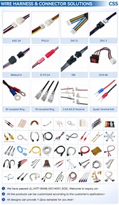 Vente en gros d'usine, connecteurs JST PH 2.0mm personnalisés à 2 broches, faisceaux de câbles électriques à fils torsadés - Product Image 4