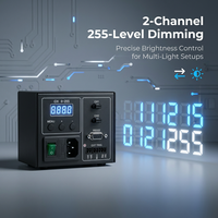 Controlador de Luz Digital Industrial de 24V, 2 Canales, Atenuador LED PWM con Protección Contra Sobrecalentamiento para Inspección por Visión Artificial