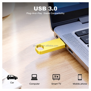Clé USB 2.0 en métal, clé mémoire USB 2G 4G 8G 16G 32G 64GB, clé USB personnalisée avec logo, mini clé USB - Product Image 6