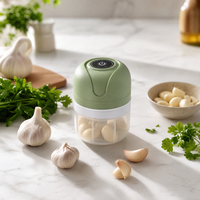 Mini hachoir à ail électrique portable, moulin à légumes de cuisine 250 ml, hachoir à oignon électronique, mixeur multifonction