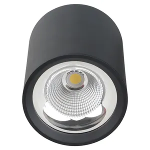 Kualitas tinggi 20 W COB chip led light downlight dengan 3 tahun garansi