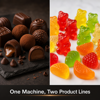 CST 3D Gummy Depositor Machine Multi-Axis Bewegingsbesturing CE FDA Gecertificeerd voor de productie van complexe vormen en karakteristieke gummy's