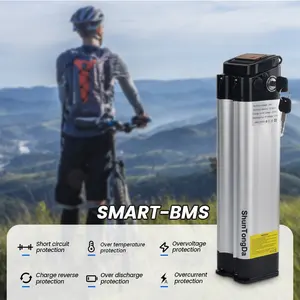 충전기가 있는 도시 자전거 전자 자전거 배터리 24V 접이식 Ebike 배터리 24 볼트 10.4Ah 13Ah 20Ah li ion accu