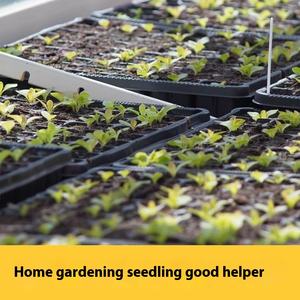 Approfondissement semoir pépinière boîte Rectangle <span class=keywords><strong>plastique</strong></span> PS <span class=keywords><strong>semis</strong></span> plateau bouchon <span class=keywords><strong>pour</strong></span> pépinière <span class=keywords><strong>Pot</strong></span> <span class=keywords><strong>semis</strong></span> <span class=keywords><strong>semis</strong></span> - Product Image 4