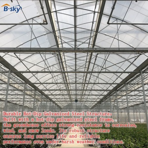 Soluzione per Serre Agricole per Produzione Alimentare Commerciale e Agribusiness Tutto l'Anno - Product Image 5