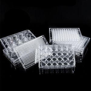 Steril 4 <span class=keywords><strong>6</strong></span> 12 24 48 96 wells <span class=keywords><strong>Tissue</strong></span> <span class=keywords><strong>Culture</strong></span> <span class=keywords><strong>Plate</strong></span> cell <span class=keywords><strong>culture</strong></span> <span class=keywords><strong>plate</strong></span> untuk lab - Product Image 3