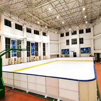 Lantai Es Sintetis WLT Self Lubricating, Panel Skate HDPE Interlocking untuk Fasilitas Pelatihan Grosir